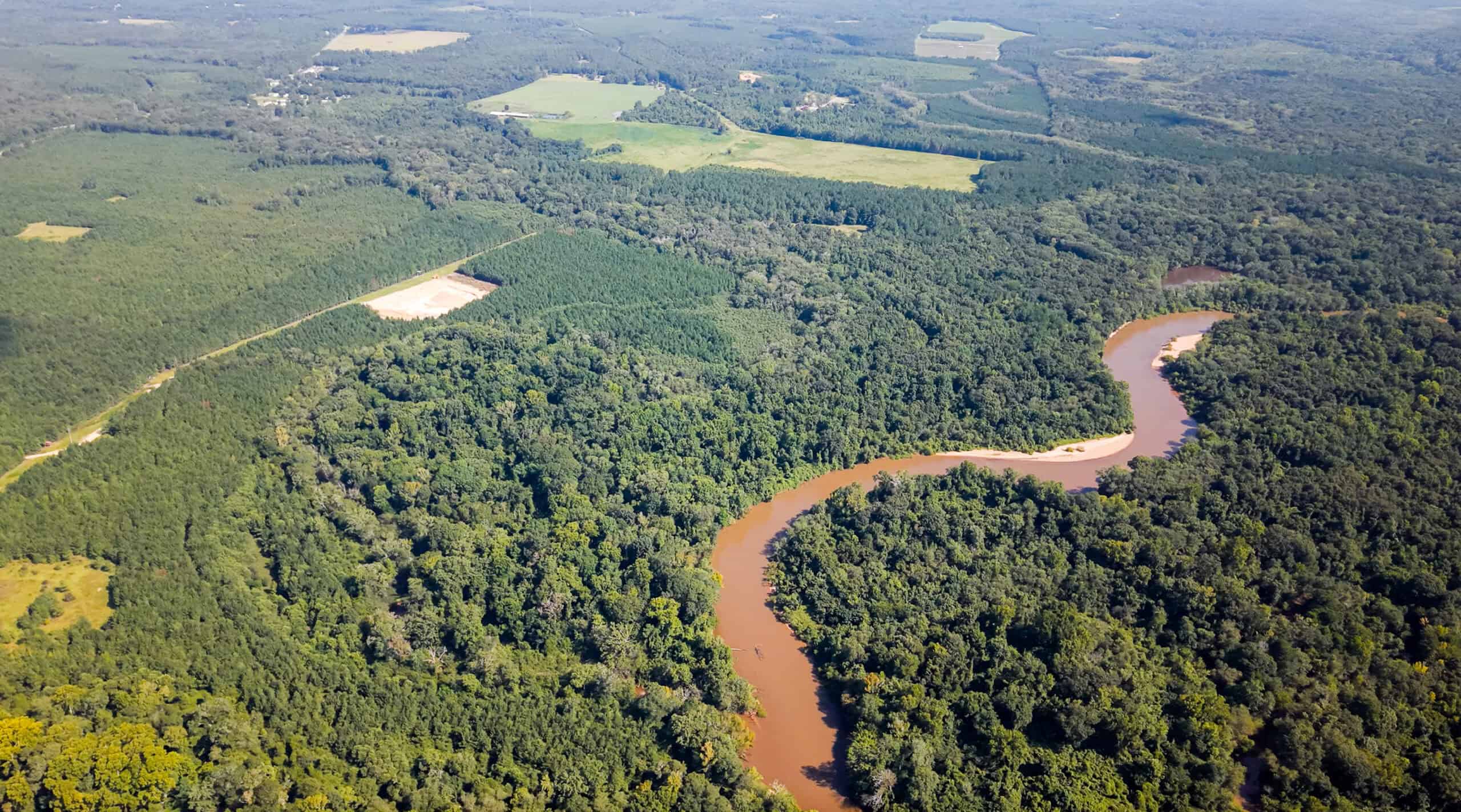 224.56 Acres | Buck Creek 224 | Montezuma, GA
